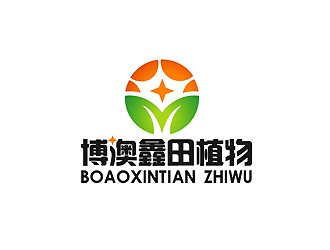 秦曉東的logo設計