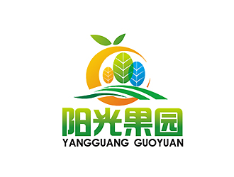 秦曉東的logo設計