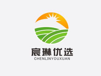 胡紅志的宸琳優選logo設計